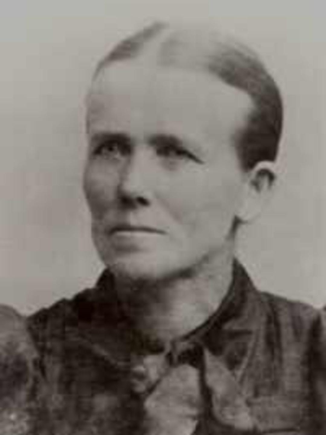 Sarah Jacobine Wicklund (1852 - 1907) Profile